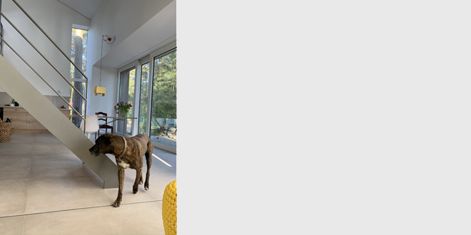 Architektur im Einklang mit der Natur, Raumerlebnis, lichtdurchflutet, Lubmin, Architektenhaus